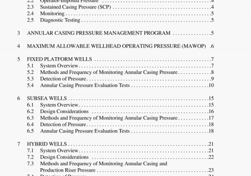 API RP 90:2006 pdf download