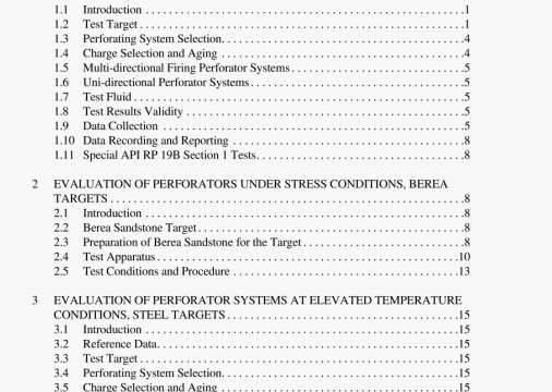 API RP 19B:2006 pdf download