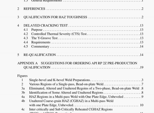 API RP 2Z:2005 pdf download