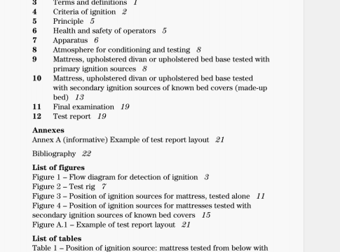 BS 06807:2006 pdf download