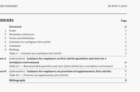 BS 8599-1:2019 pdf download